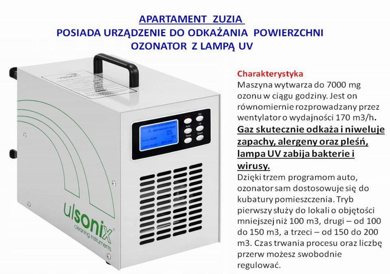 Apartament Zuzia 德兹维济诺 外观 照片