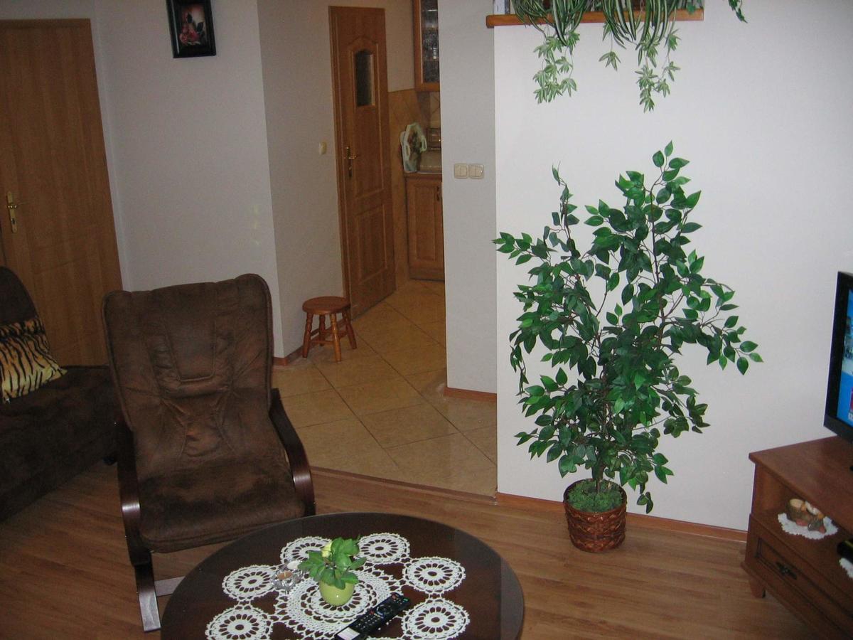 Apartament Zuzia 德兹维济诺 外观 照片